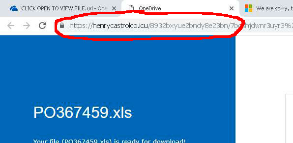Phishing attack website URL